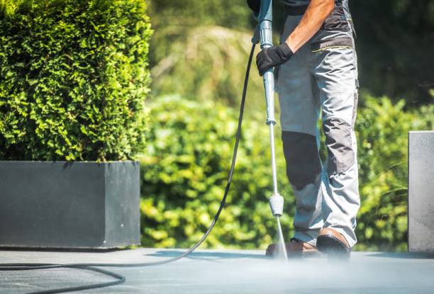 Best Building Exterior Washing  in Zelienople, PA